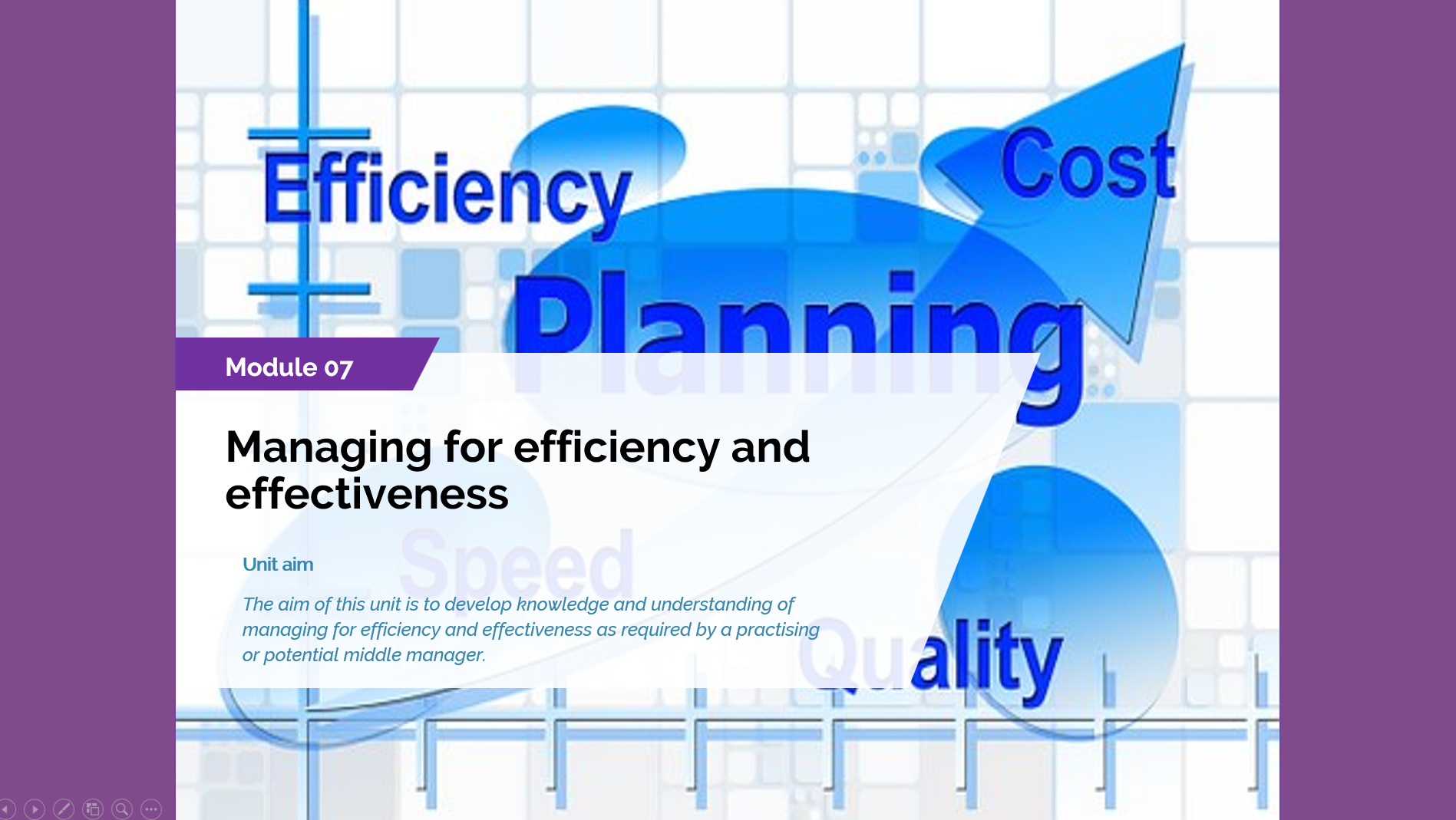 Level 5 AMSPAR Managing for efficiency and effectiveness
